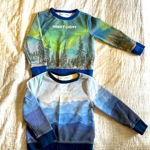 2 sweatshirt from Gap with National Geographic. Northern lights.Size 4.